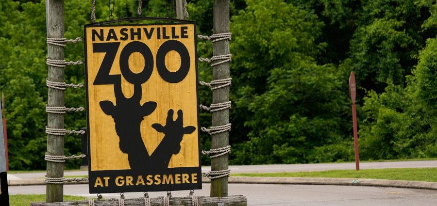 proposed-data-center-near-nashville-zoo-faces-pushback