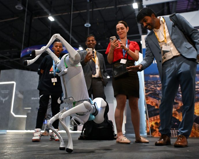 robot-dogs,-teslas,-and-rescue-helicopters:-the-un-ai-summit-was-a-lot