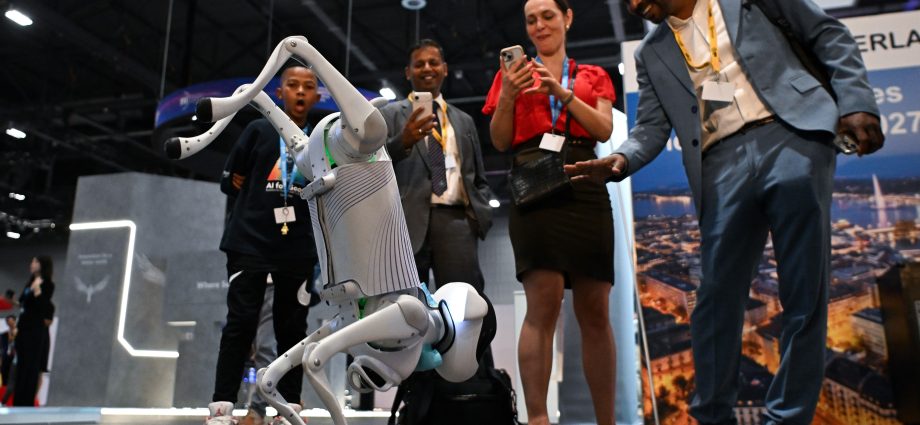 robot-dogs,-teslas,-and-rescue-helicopters:-the-un-ai-summit-was-a-lot
