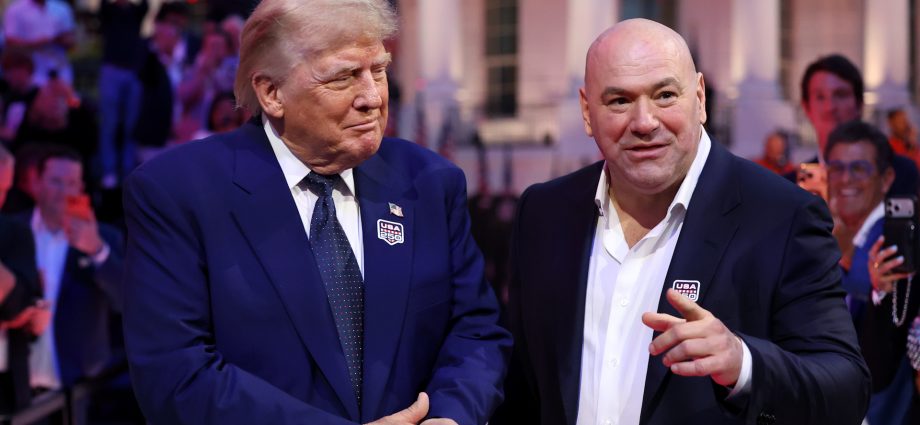 eighth-man-charged-in-alleged-drone-and-sniper-plot-at-white-house-ufc-event