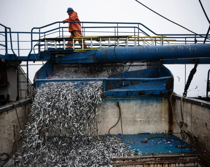 El Niño is here, and it’s already scrambling fisheries throughout the Pacific