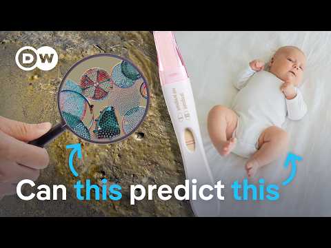 can-this-algae-make-animal-testing-obsolete?-|-dw-news