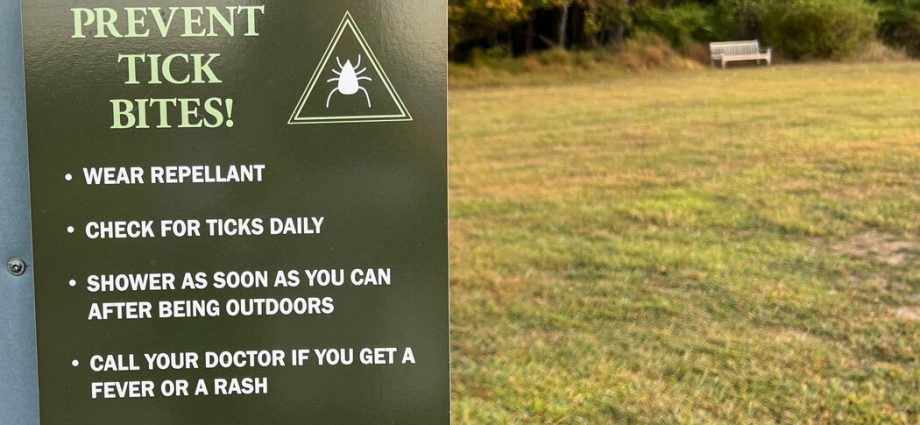 ticks-are-on-the-move-here-are-the-risks-in-your-region.