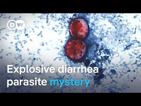 why-is-the-cyclospora-diarrhea-parasite-spreading-so-quickly-across-the-us?-|-dw-news