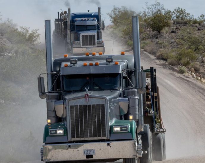 the-traitor-slashes-wildlife-protections,-putting-endangered-california-animals-at-risk