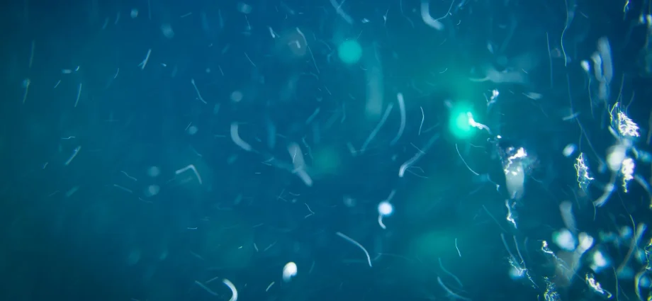 deep-sea-life-has-a-secret-food-source-scientists-never-expected