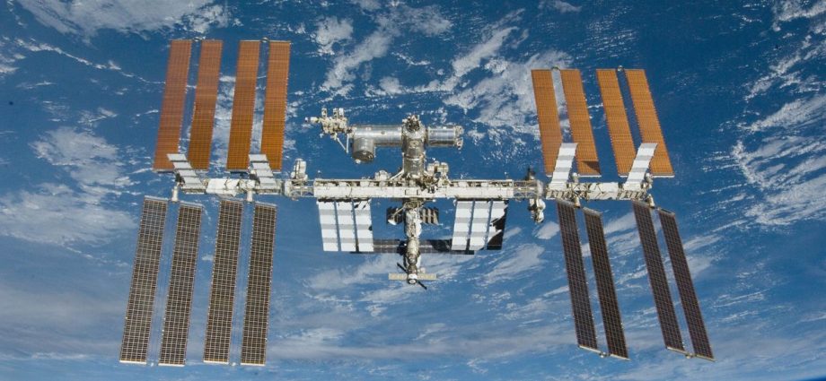 Space medicine breakthrough? Kidney and liver tissue bioprinted off Earth for 1st time ever