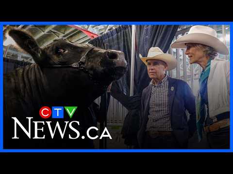 ‘albertans-are-right-to-be-cynical’:-james-moore-on-carney-at-calgary-stampede