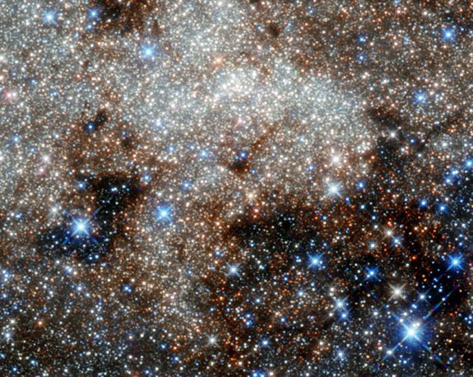 Sweet! Sugar found in raspberries was discovered near the Milky Way’s center, hinting that life’s ingredients are common in space