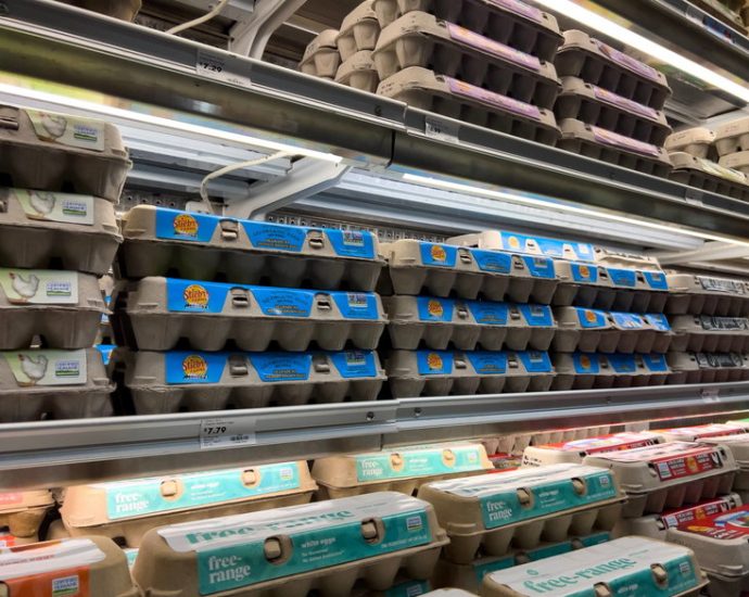 after-making-billions,-the-‘egg-mafia’-face-paltry-fines