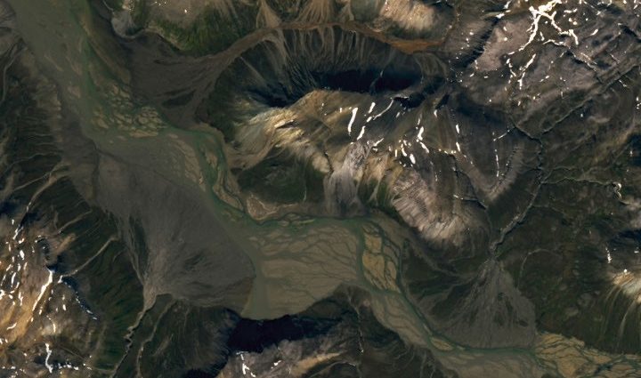 fans-of-the-arctic