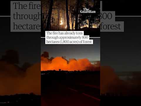 huge-wildfire-breaks-out-in-forest-near-paris