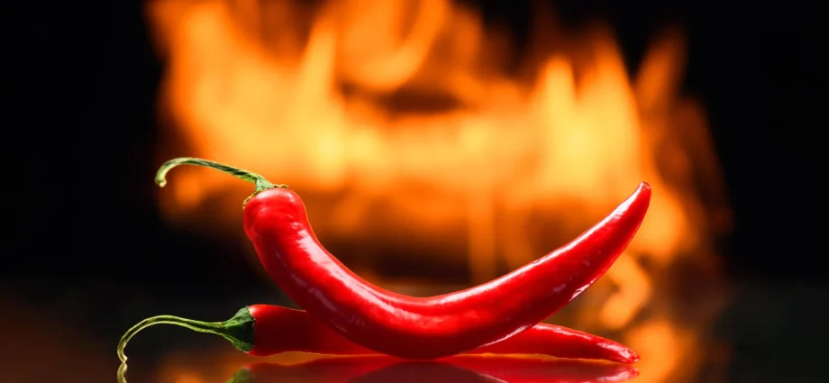 eating-chili-peppers-may-raise-the-risk-of-one-deadly-cancer