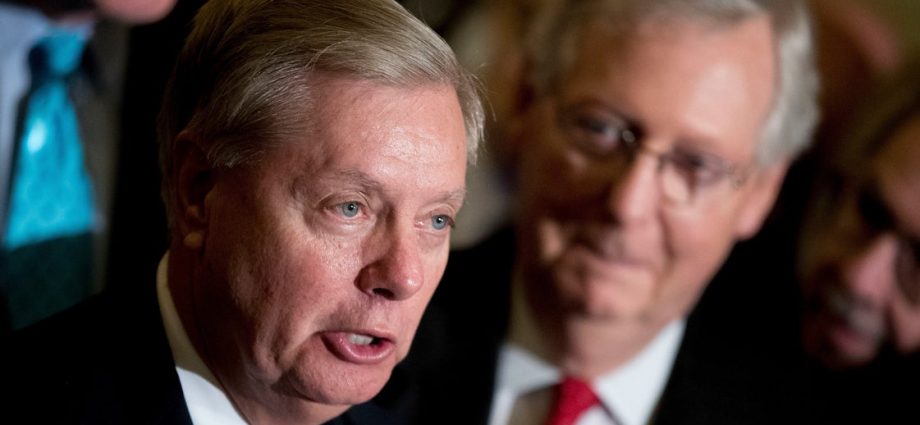 sc-gov-appoints-lindsey-graham’s-sister-to-fill-his-senate-seat
