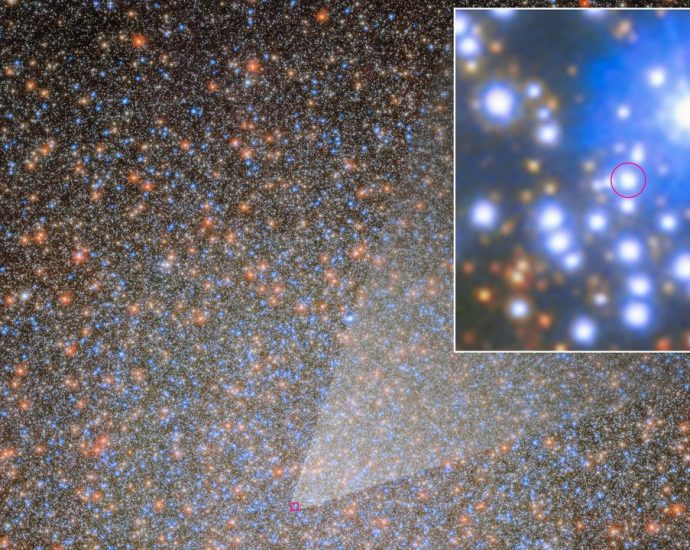 The 1st of 10,000 ‘missing’ black holes in the Omega Centauri star cluster has been found by the Hubble and James Webb space telescopes