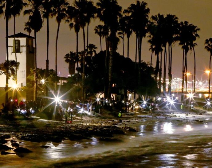 it’s-time-for-the-night-trip-to-the-beach-—-the-grunion-are-running