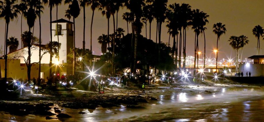 it’s-time-for-the-night-trip-to-the-beach-—-the-grunion-are-running