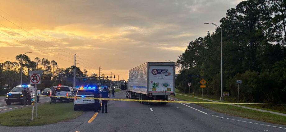 man-fleeing-ice-killed-by-tractor-trailer,-marking-third-death-in-a-week