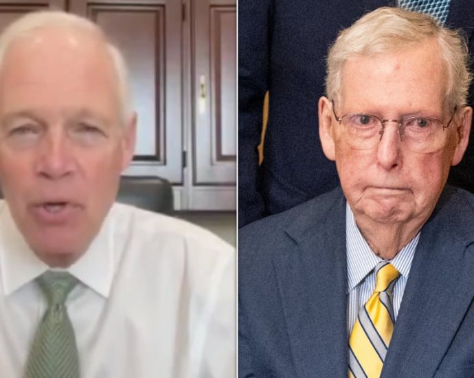 gop-senator-awkwardly-walks-back-conspiracy-theory-about-mitch-mcconnell’s-hospital-photo