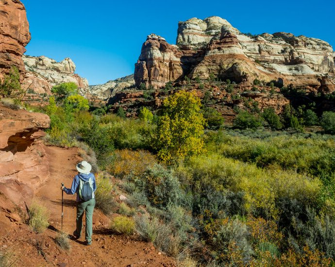 the-traitor-sharply-cuts-the-size-of-two-national-monuments-in-utah