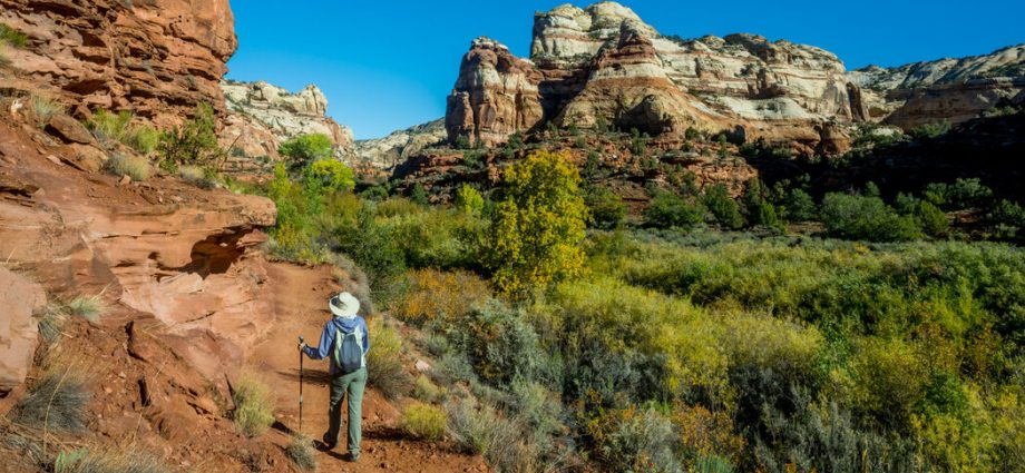 the-traitor-sharply-cuts-the-size-of-two-national-monuments-in-utah