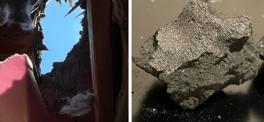 A meteorite crashed into a New Jersey home in 2024. Inside it were life’s building blocks.