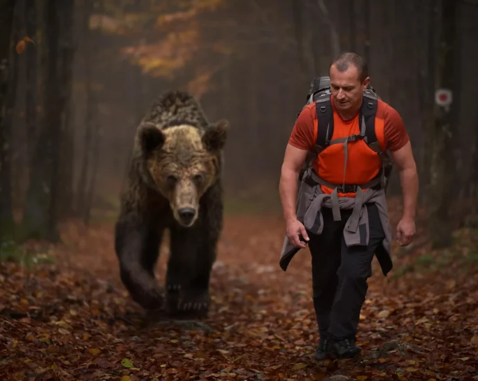 are-humans-really-the-ultimate-super-predator?