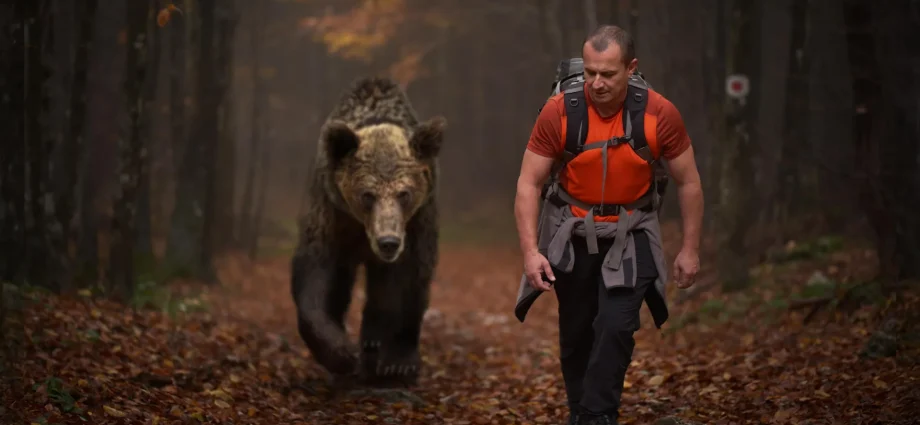 are-humans-really-the-ultimate-super-predator?