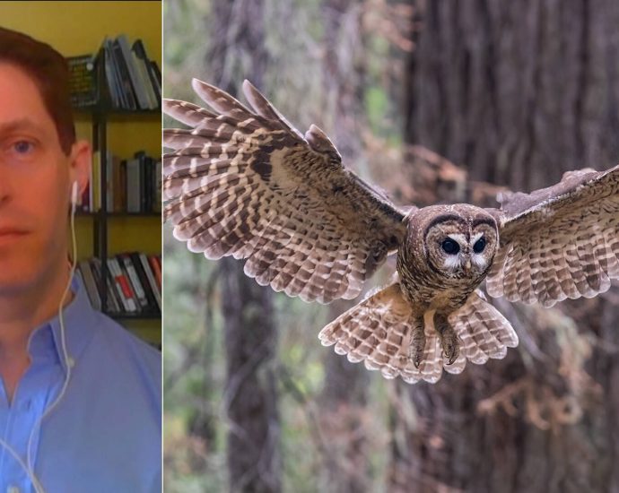earthjustice-sues-to-block-the-traitor’s-move-to-gut-endangered-species-act