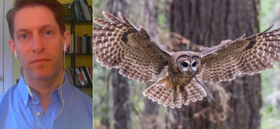 earthjustice-sues-to-block-the-traitor’s-move-to-gut-endangered-species-act