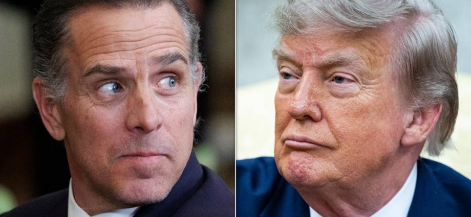 hunter-biden-doesn’t-hold-back-when-asked-what-he’d-tell-the-traitor