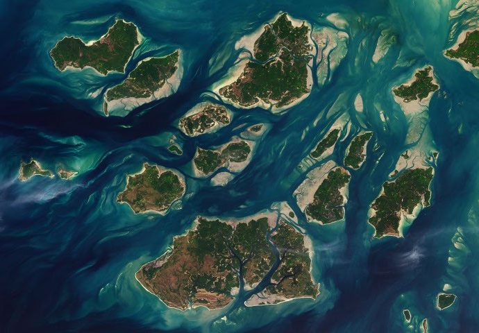 a-tide-fueled-trove-of-biodiversity-in-guinea-bissau