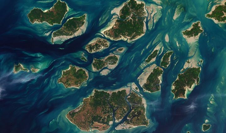 a-tide-fueled-trove-of-biodiversity-in-guinea-bissau