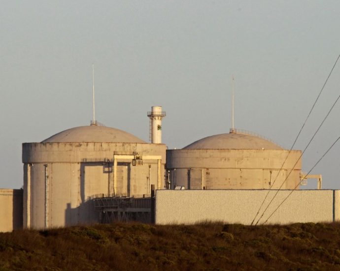 no-radiation-leak-after-‘contamination’-events-at-africa’s-only-nuclear-plant,-regulator-says