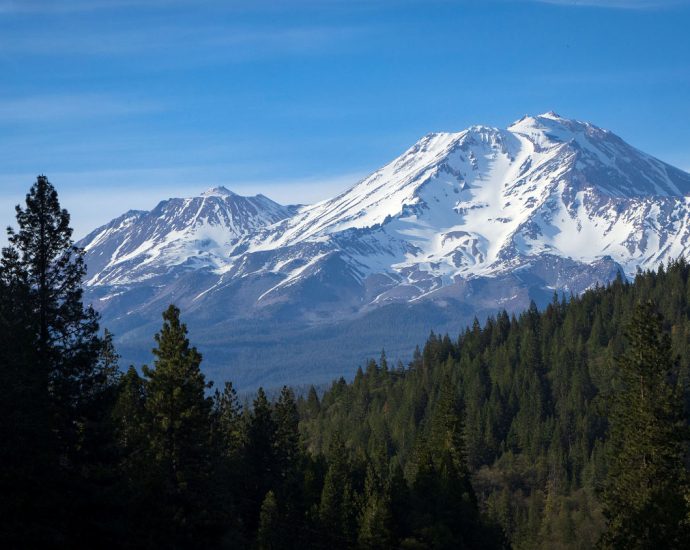 two-us.-forest-service-employees-rescued-after-being-zip-tied-and-held-hostage-at-gunpoint