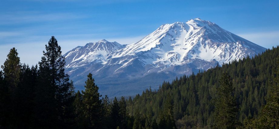 two-us.-forest-service-employees-rescued-after-being-zip-tied-and-held-hostage-at-gunpoint