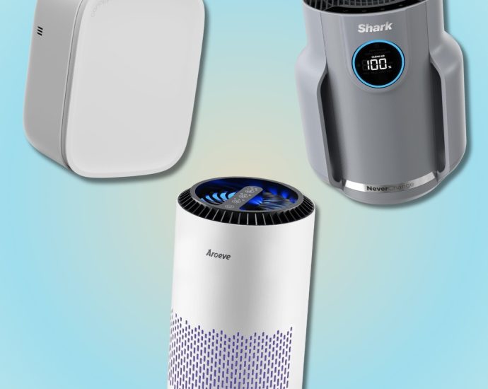 Best Fast-Shipping Air Purifiers for Wildfire Smoke, Dust & Allergens