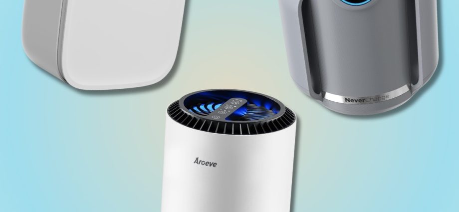 Best Fast-Shipping Air Purifiers for Wildfire Smoke, Dust & Allergens