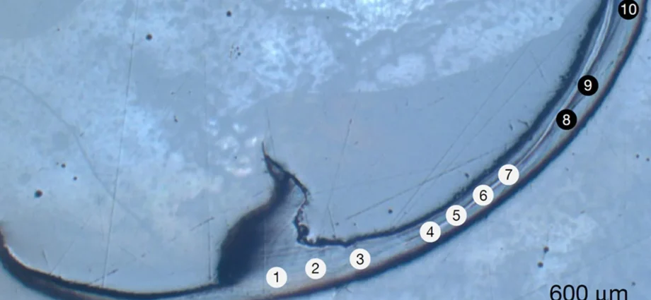 this-ancient-sea-worm-has-“bio-metal”-jaws-unlike-anything-scientists-have-seen