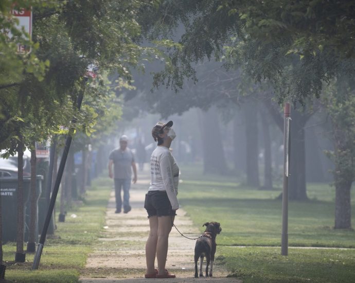 wildfire-smoke-can-harm-more-than-your-lungs.-here’s-how-to-stay-safe