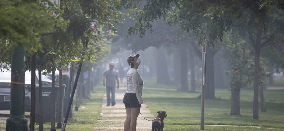 wildfire-smoke-can-harm-more-than-your-lungs.-here’s-how-to-stay-safe
