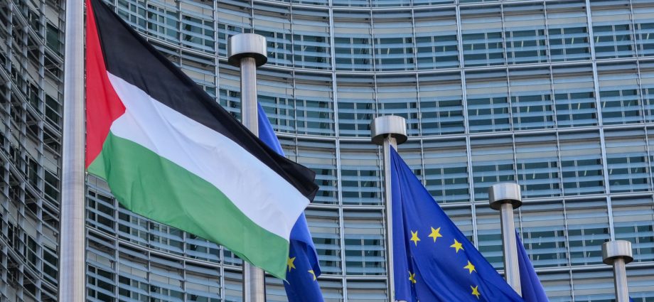 belgium-bans-imports-from-israeli-settlements-in-occupied-palestine