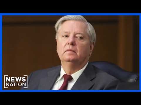 south-carolina-republicans-jump-into-race-for-graham’s-senate-seat-|-newsnation-live