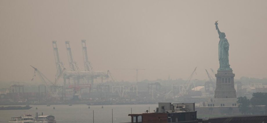 world-cup-appears-to-have-dodged-worse-wildfire-smoke-thanks-to-rain