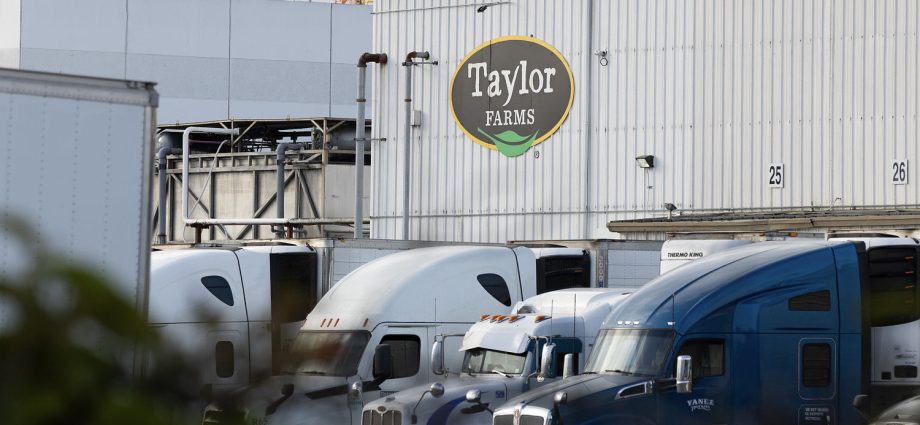 fda-says-taylor-farms-lettuce-sample-tested-for-cyclospora-produced-false-positive