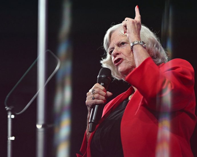 suspect-charged-in-fatal-attack-on-uk-politician-ann-widdecombe