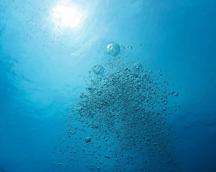 earth’s-waters-are-quietly-running-out-of-oxygen,-scientists-warn