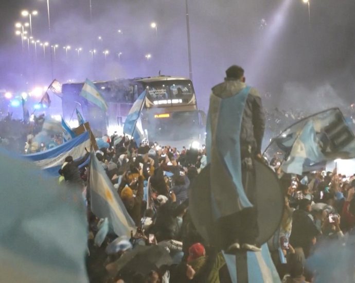 argentina-players-receive-heroes’-welcome-home-despite-world-cup-defeat