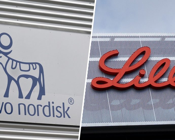 novo-nordisk-sues-eli-lilly-over-weight-loss-drug-advertisement