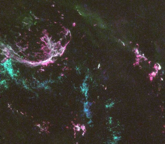 roses-25-c.2-solar-system-science-corrections